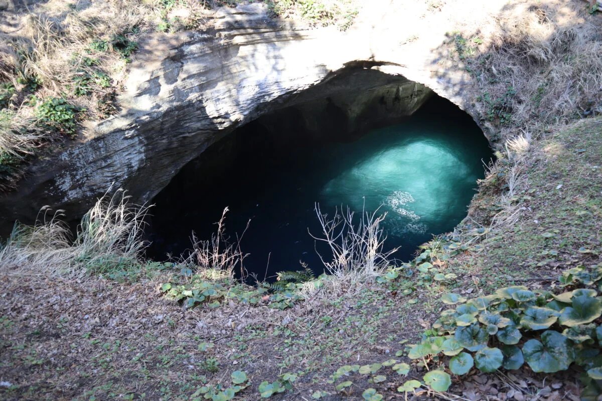 🚤 도가시마 마린 유람선·크루즈선 선착장 (도가시마 마린 유우란센·크루우즈센 노리바) 이미지 6